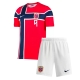 Billige Fotballdrakt Norge Erling Haaland #9 Replika Hjemmedraktsett Barn VM 2026 Kortermet (med bukser)